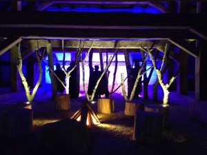 IMG_1841
